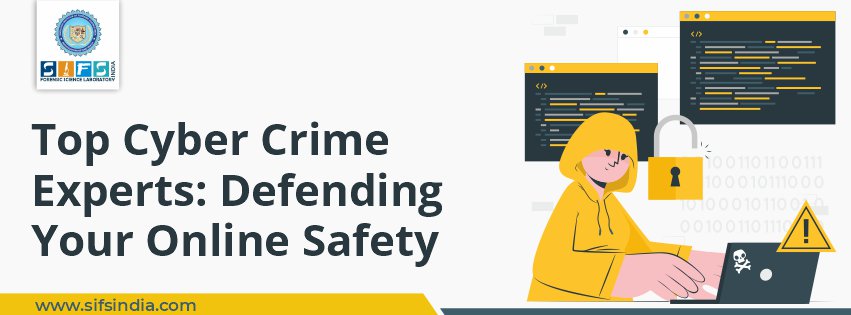 Top Cyber Crime Experts: Defending Your Online Safety